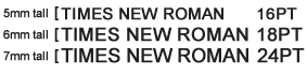 Times New Roman